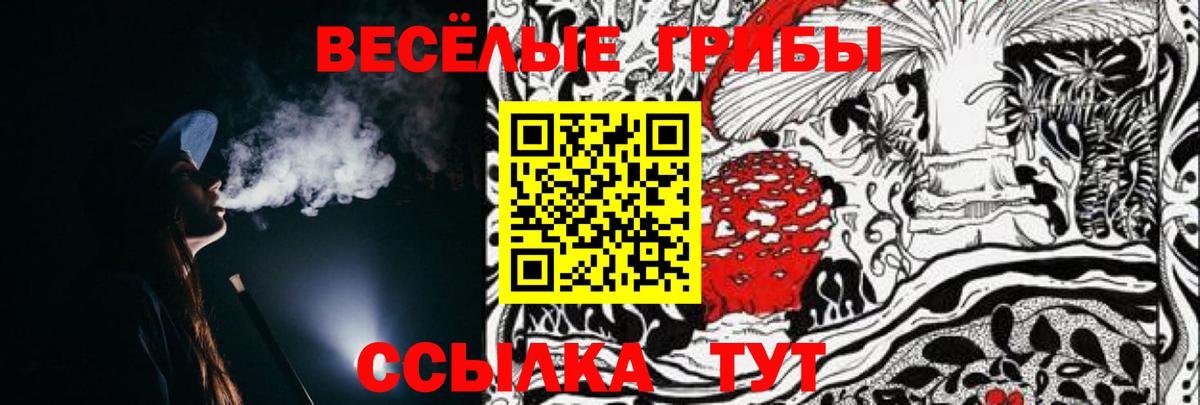 Галлюциногенные грибы Magic Shrooms Тихвин