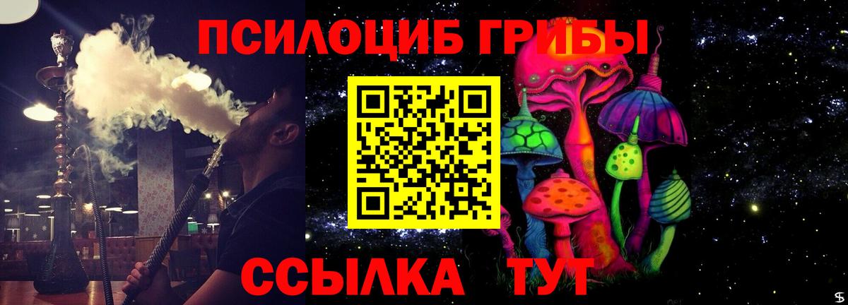 Псилоцибиновые грибы Psilocybe  Галлюциногенные грибы мицелий  Вход с VPN  Тихвин 